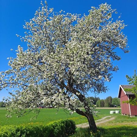 Levomaeki Farm Cottages Ypaja エクステリア 写真