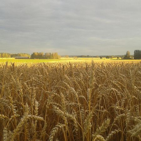 Levomaeki Farm Cottages Ypaja エクステリア 写真