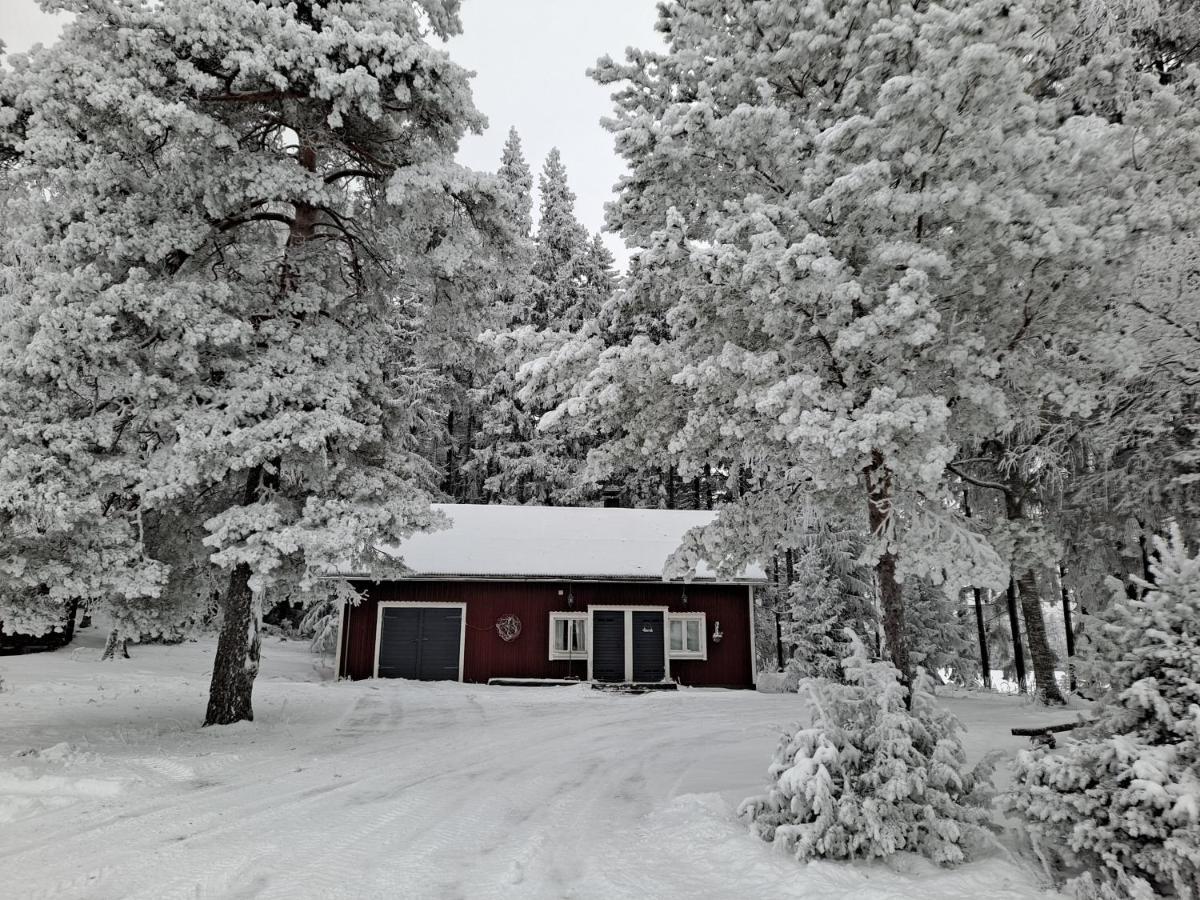 Levomaeki Farm Cottages Ypaja エクステリア 写真
