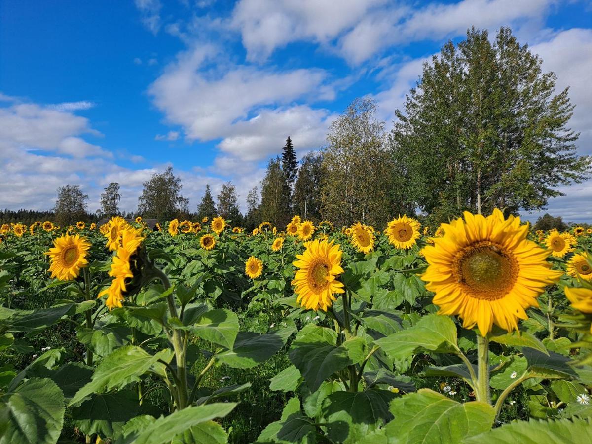 Levomaeki Farm Cottages Ypaja エクステリア 写真