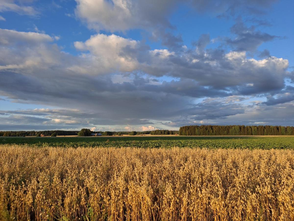 Levomaeki Farm Cottages Ypaja エクステリア 写真
