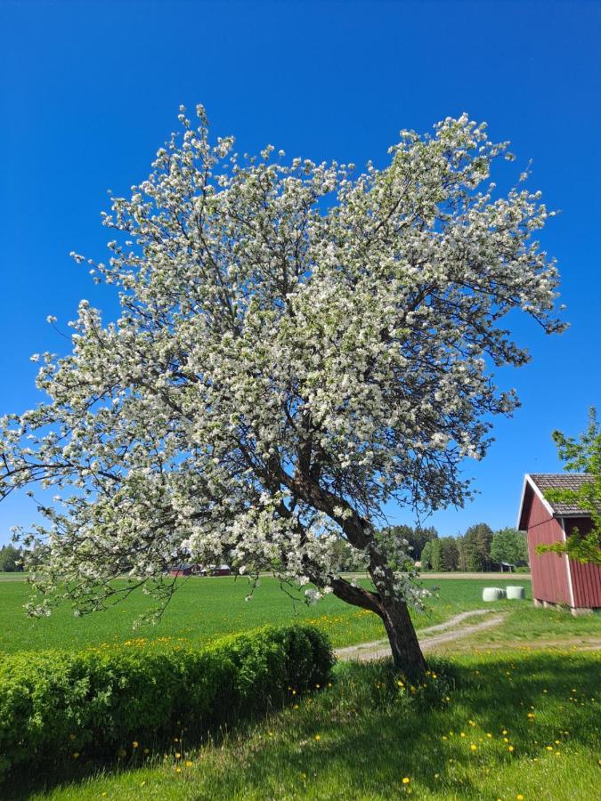 Levomaeki Farm Cottages Ypaja エクステリア 写真