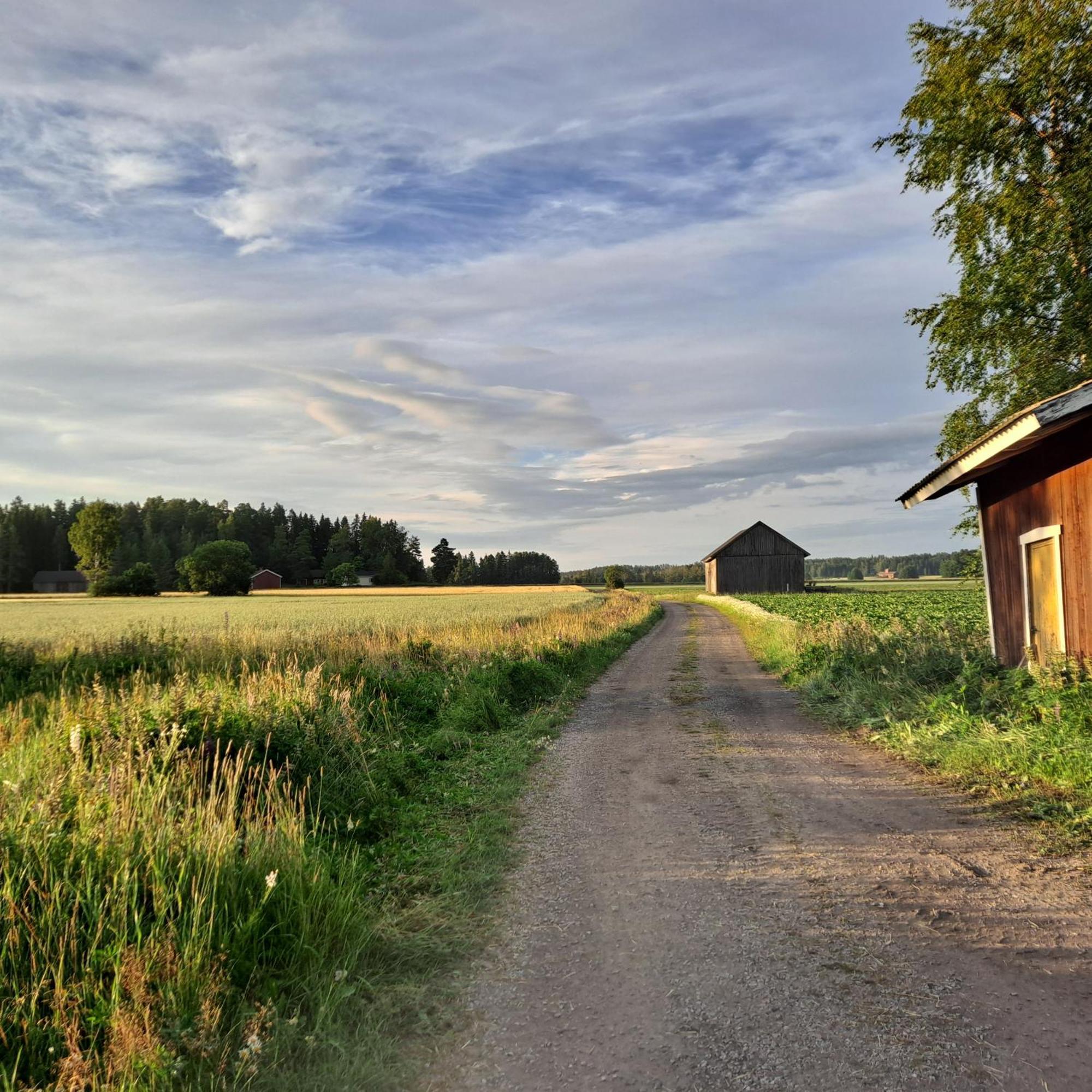Levomaeki Farm Cottages Ypaja エクステリア 写真