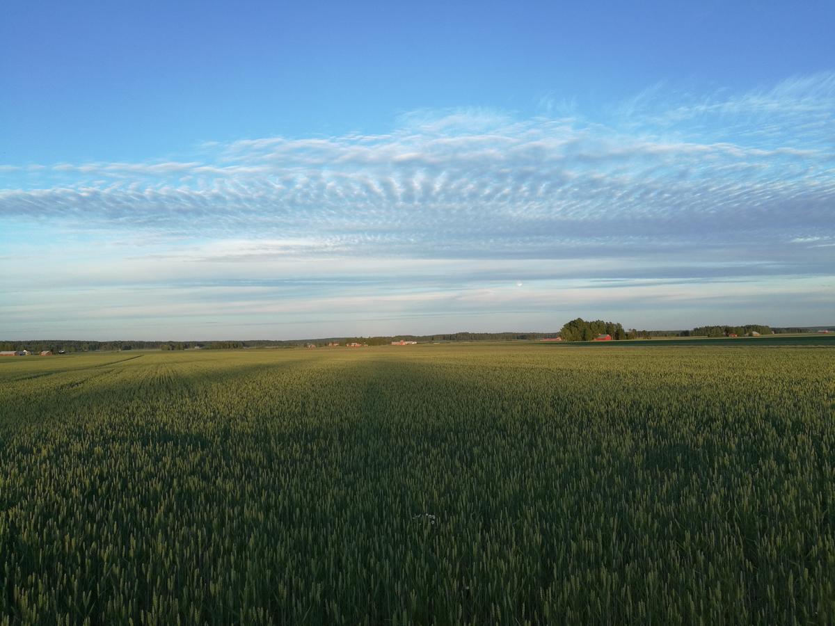 Levomaeki Farm Cottages Ypaja エクステリア 写真